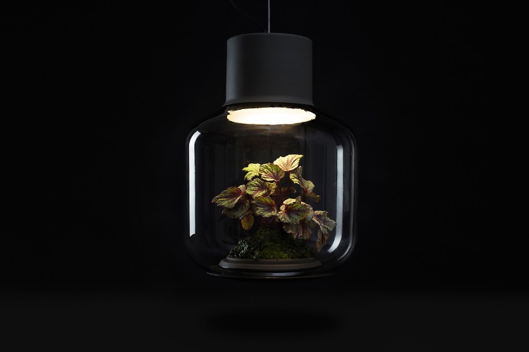 Gospodo, idealna rasvjeta za vaš dom ili ured je Mygdal svjetiljka-biljka